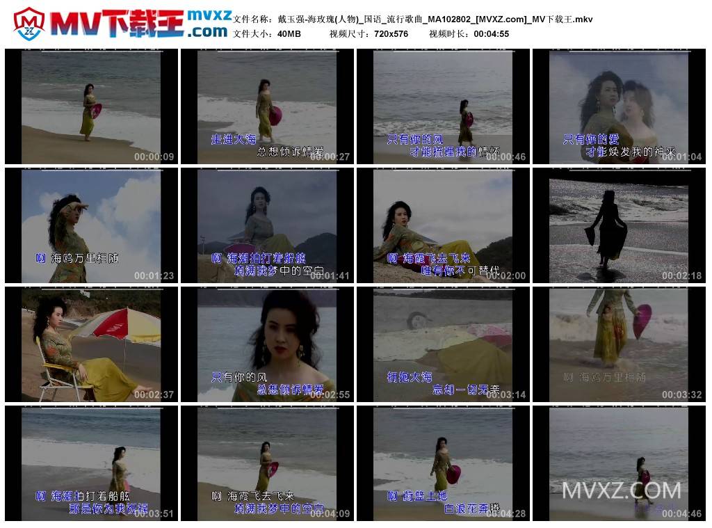 戴玉强-海玫瑰(人物)_国语_流行歌曲_MA102802